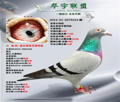 魯?shù)现睂OX魯?shù)现睂O女 =新閃電號X超級羅密歐