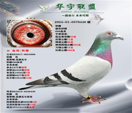 奶酪098X新金姆之母 超強回血