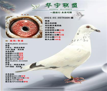 魯?shù)揽死?家族獲獎數(shù)羽