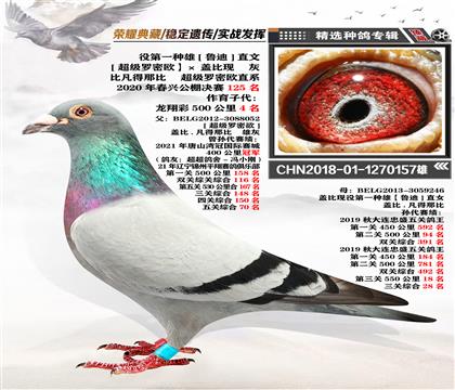 蓋比血系:超級(jí)羅密歐直系