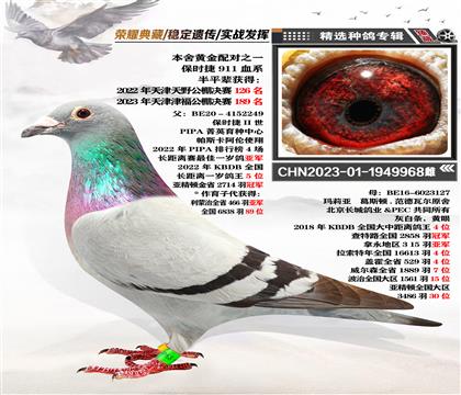 黃金配對(duì):”保時(shí)捷911血系“