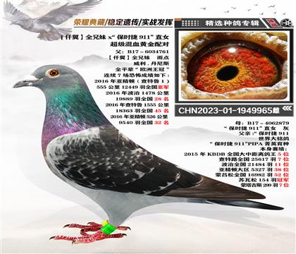 仟翼全兄妹X保時(shí)捷911直女