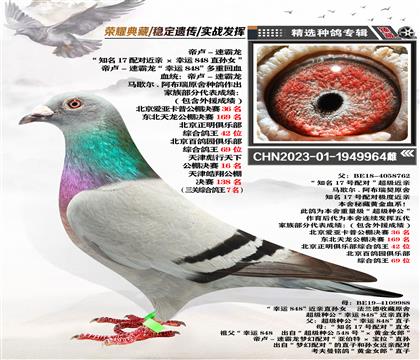血統(tǒng):帝盧-速霸龍