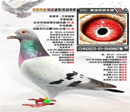 血統(tǒng):史蒂芬.蘭布瑞契