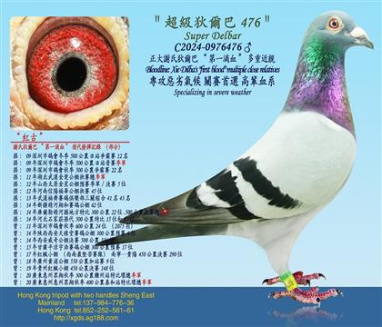 xϵҠ͡һѪؽH