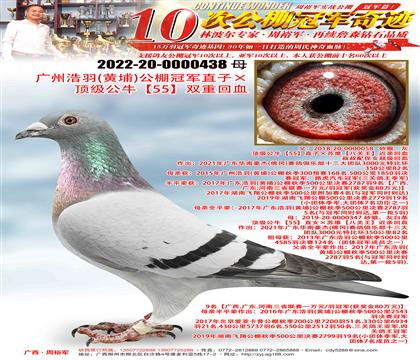 VݺSң܊ֱӡ피55pػѪ