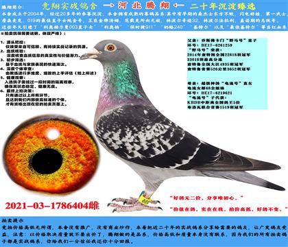 ˹TҰRֱ̖Xֱ̖Ů