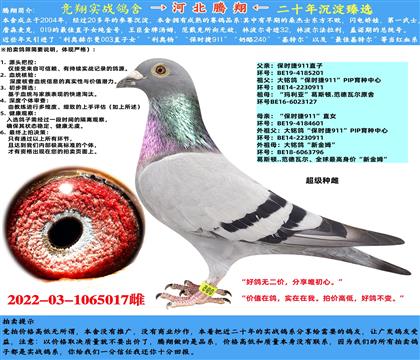 ߶]r911ֱXr911ֱŮ
