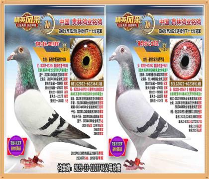 ؠOH2089܊ֱŮ.ؠֱOؠOŮH
