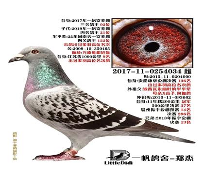 һP(gun)92f¾S