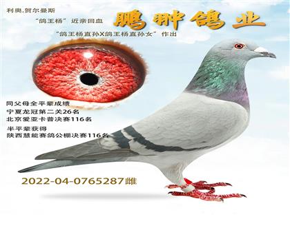 HѪ
