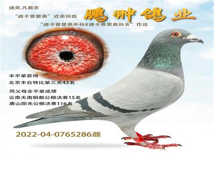 ϿWHѪ