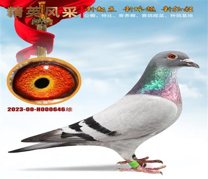 pH646