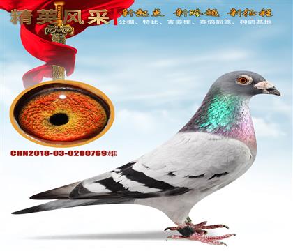 ʯɣʿN