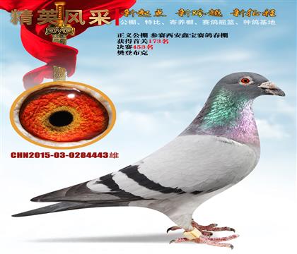 ǲ Qِ453