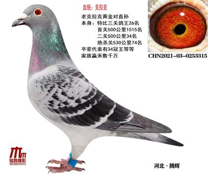 P(gun)26
