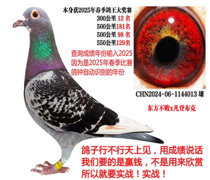 2025괺ɿ(j)|xǲˣ