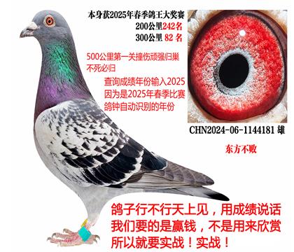 2025괺ɿ(j)|