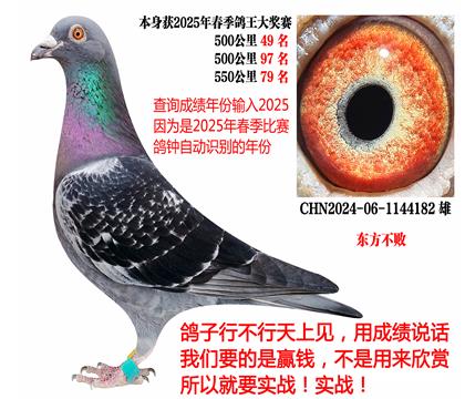 2025괺ɿ(j)|
