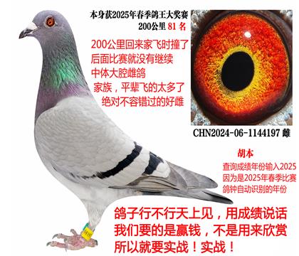 2025괺ɿ(j)