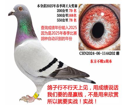 2025괺ɿ(j)|x