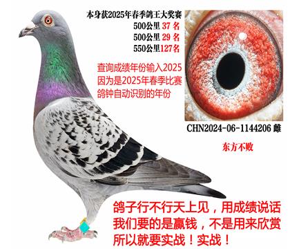 2025괺ɿ(j)|