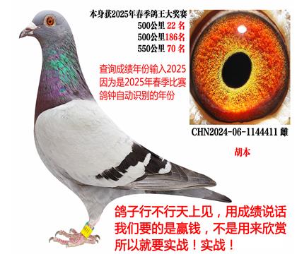 2025괺ɿ(j)