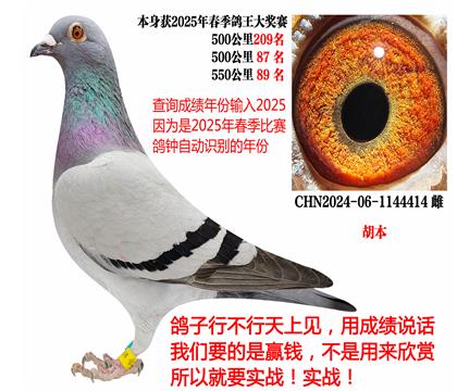 2025괺ɿ(j)