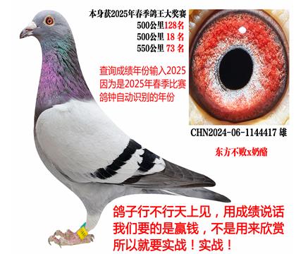 2025괺ɿ(j)|xң