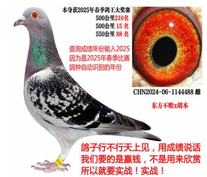 2025괺ɿ(j)|x