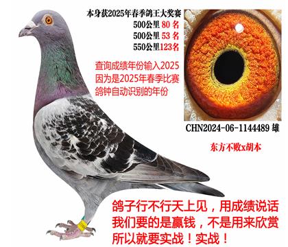 2025괺ɿ(j)|x