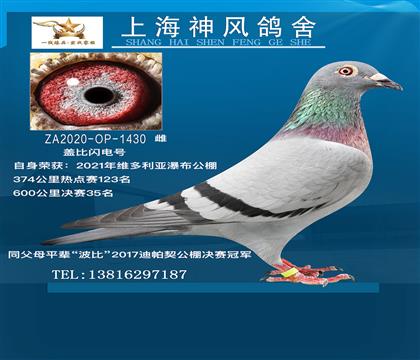 Sٲ35