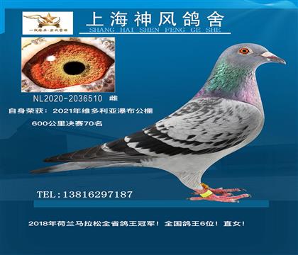 Sٲ70