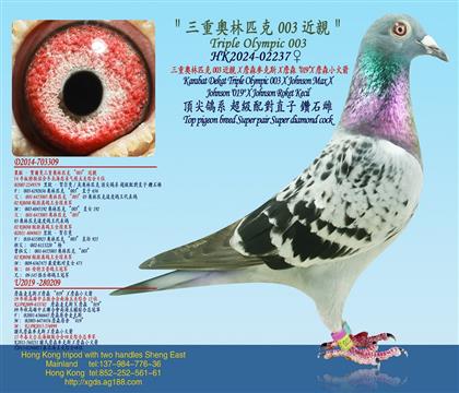 ؊Wƥ003HXղɭ˹X ղɭ019XղɭС