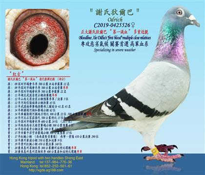 xϵҠ͡һѪؽH