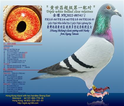 Wȫ038XWȫ662XWȫ054XWȫ05