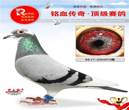 ^ĸ·593ֱOŮ
