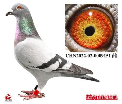 ?sh)ϡOŮ/ɿ