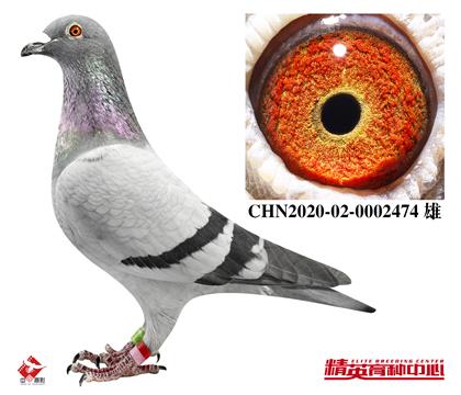 ҼߴHN