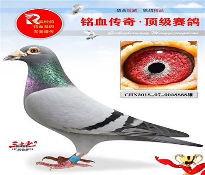 KBDBȫ(gu)܊ֱӡ8888̖(ho)