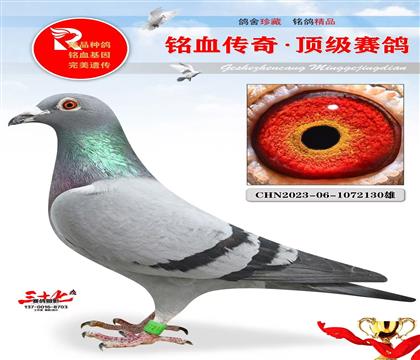ĹI(y)ٰ塢_(ki)