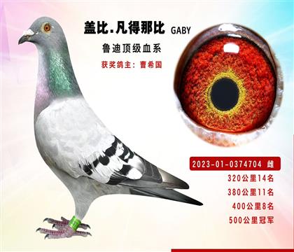 蓋比.凡得那比“魯?shù)涎怠北旧?00公里冠軍
