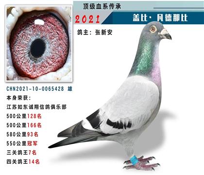 蓋比血系 本身550公里冠軍
