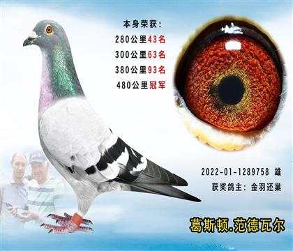葛斯頓.范德瓦爾 本身成績480公里冠軍
