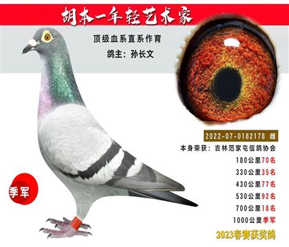 胡本”年輕藝術(shù)家“本身1000公里季軍