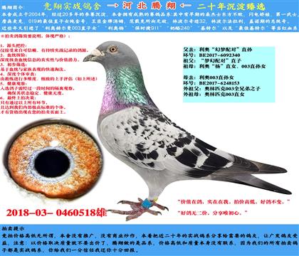 Wՠ(mng)䌦(du)ֱOXW003ֱOŮ