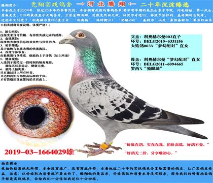 W(mng)䌦(du)ֱX(ju)(mng)䌦(du)ֱŮ