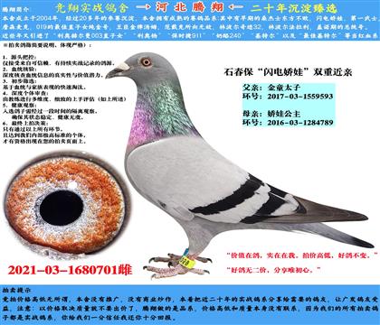 ʯӡXW늋ޡpؽHN