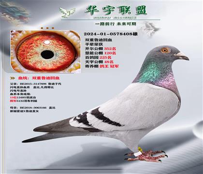 ?sh)ֱX(ju)?sh)OŮ (qing)䌦(du)