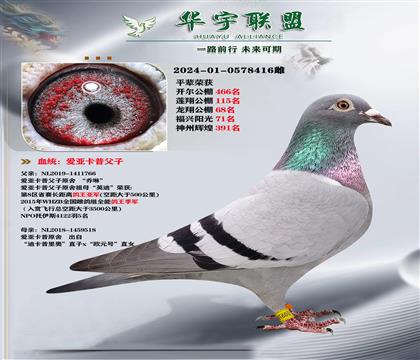 mֱX(ju)ҵϿW֮ĸ (qing)䌦(du)